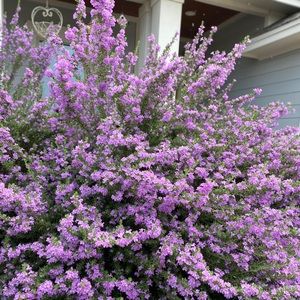 Meet your Posher, Caleb